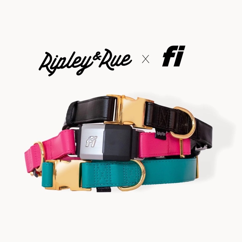 Ripley & Rue Vegan Leather Fi GPS Compatible Collar